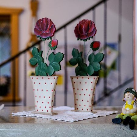 Bed and Breakfast Garni Crepaz Сельва-ді-Валь-Гардена Екстер'єр фото