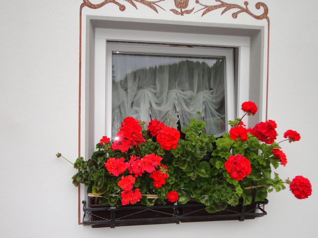 Bed and Breakfast Garni Crepaz Сельва-ді-Валь-Гардена Екстер'єр фото